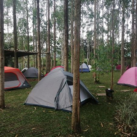 Murchison Backpackers Masindi Extérieur photo