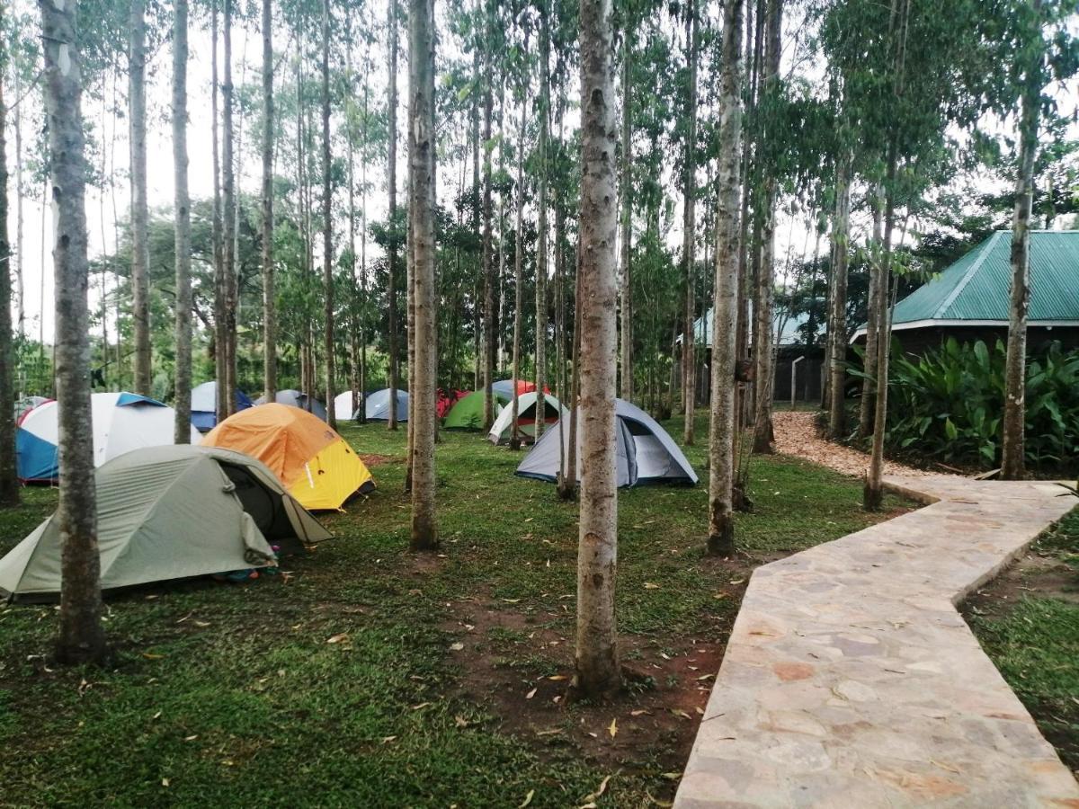 Murchison Backpackers Masindi Extérieur photo