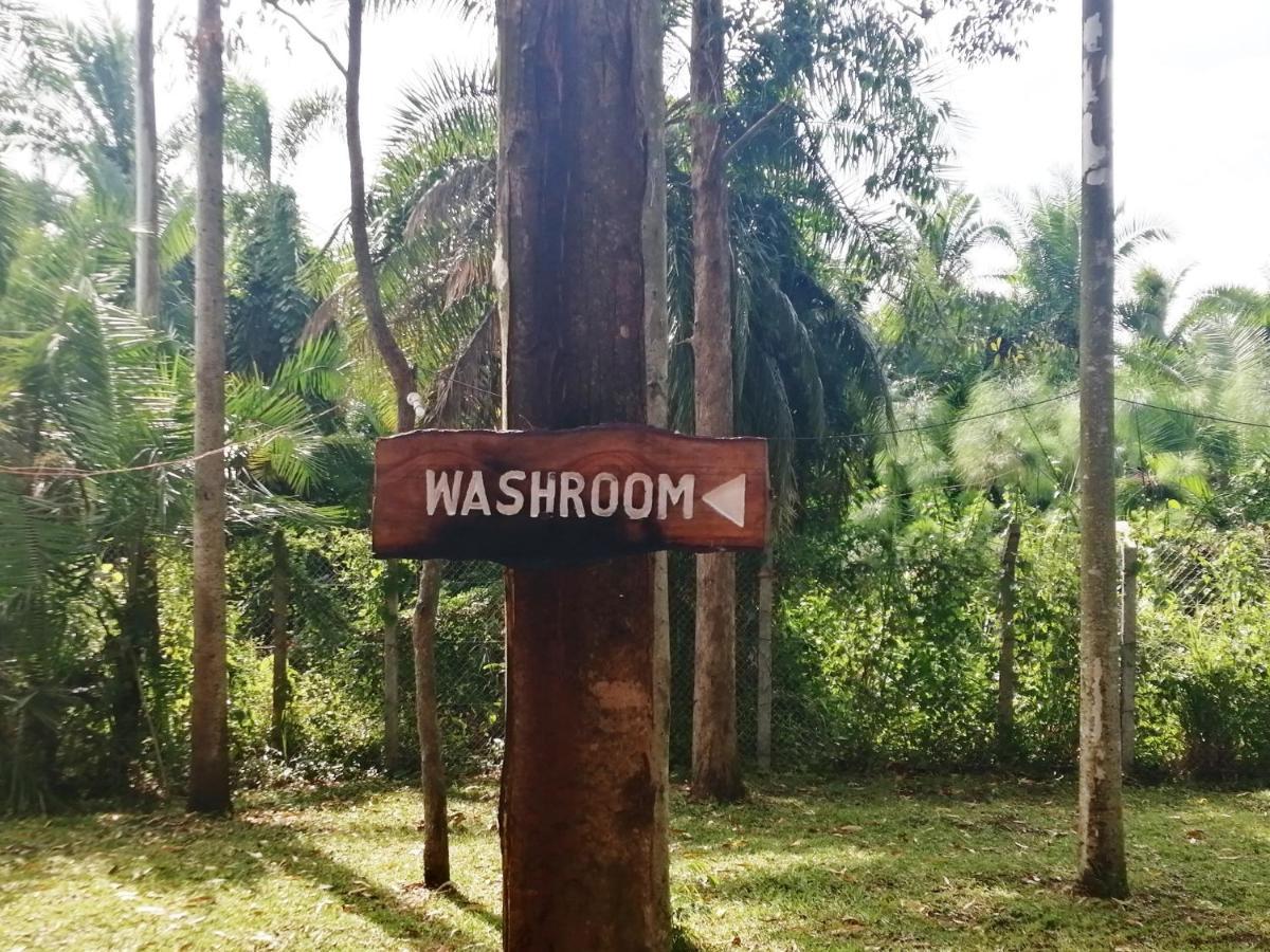 Murchison Backpackers Masindi Extérieur photo
