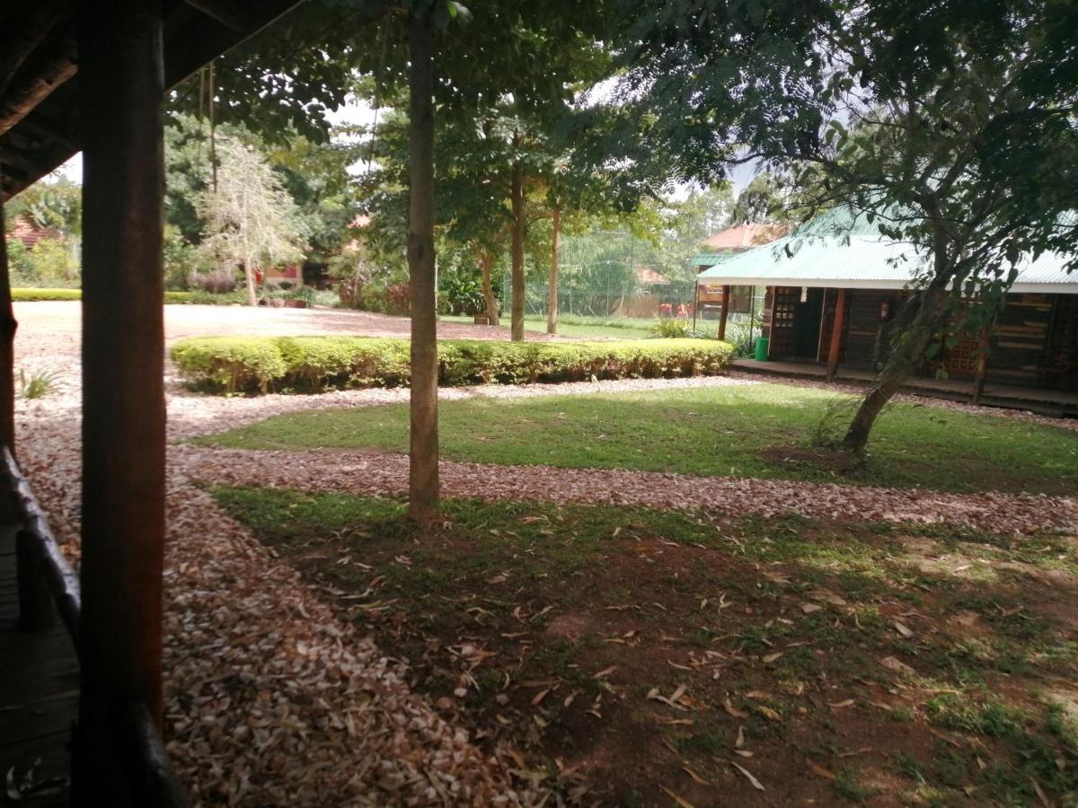 Murchison Backpackers Masindi Extérieur photo