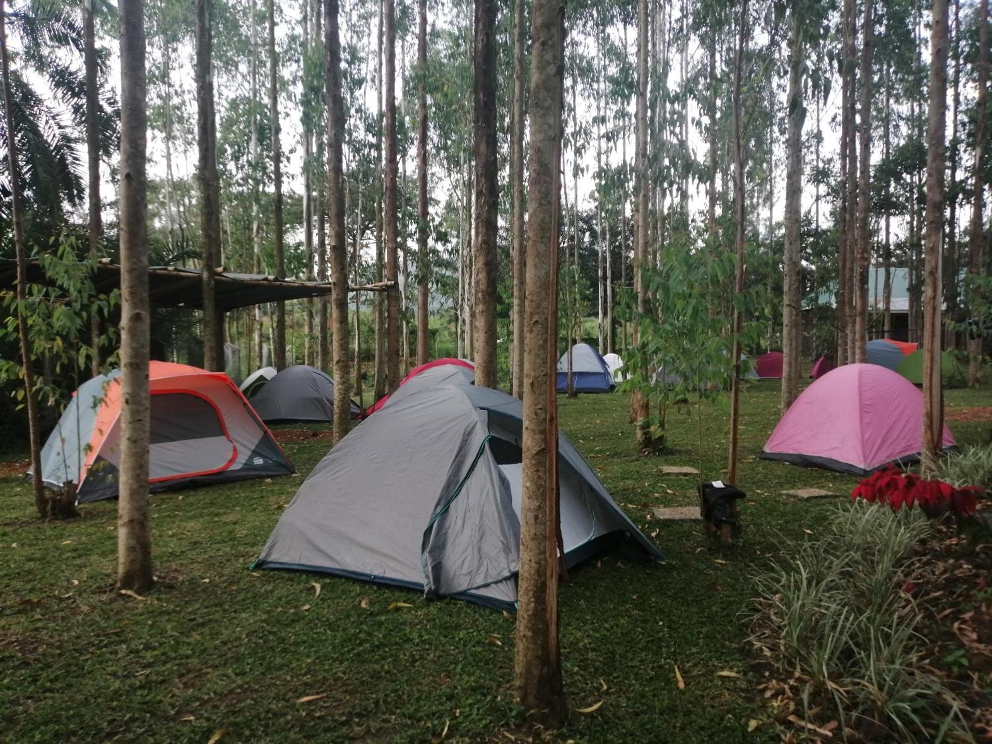 Murchison Backpackers Masindi Extérieur photo